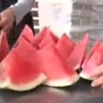 南魚沼市の幻のスイカ