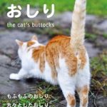 猫の尻の穴ばかりを集めた、頭のおかしい写真集