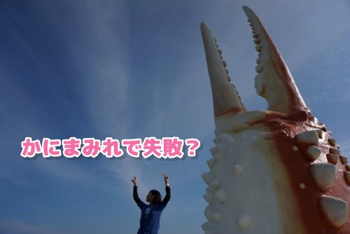 カニ爪の写真画像