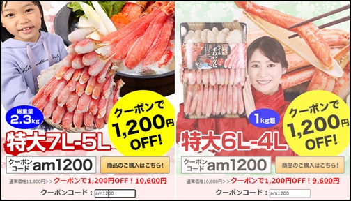 クーポンコードサンプル