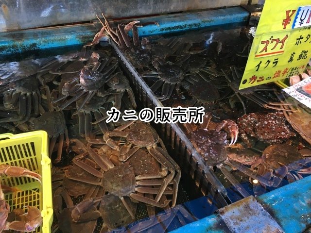 カニの販売所