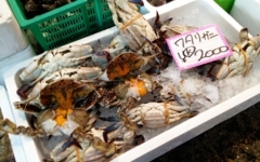 西村商店 ワタリガニ