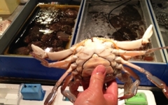 たけやのワタリガニ