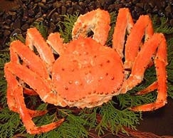 網走水産のアブラガニ