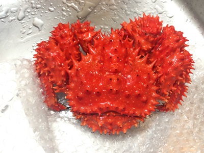 解凍済みの花咲ガニ