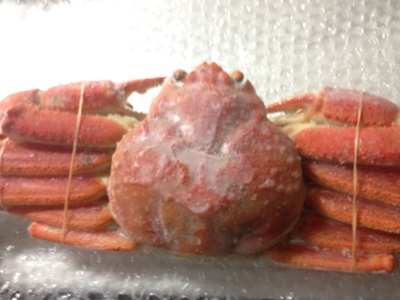 かにまみれのズワイガニ